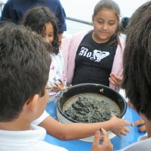 education field trip with harbor breeze cruises