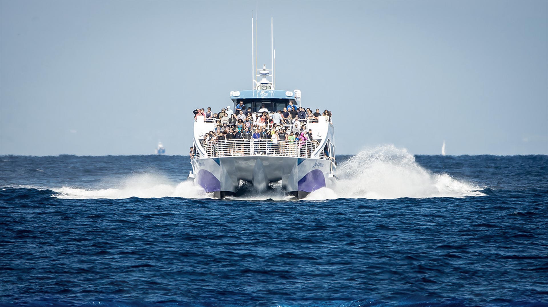 Harbor Breeze Los Angles Whale Watching cruise