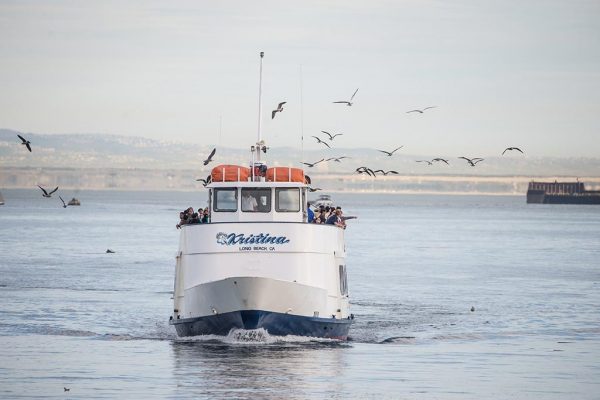 Kristina - Long Beach California Whale Watching Boat