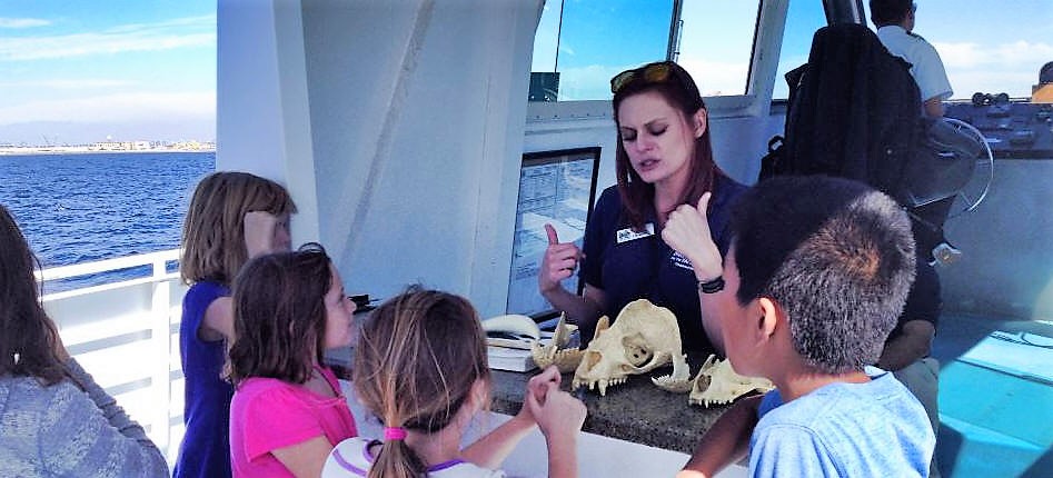 educational trip with harbor breeze cruises