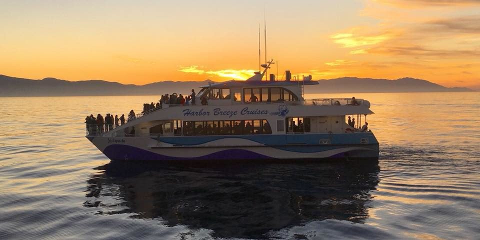 Long Beach whale watching boat from harbor breeze cruises