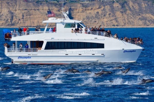 The Christopher ship long beach whale watching cruise