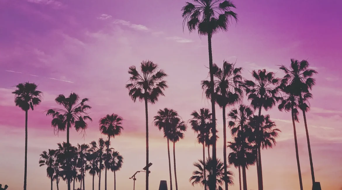 Silhouetted palm trees against a vibrant sunset sky, evoking tranquility and beauty.