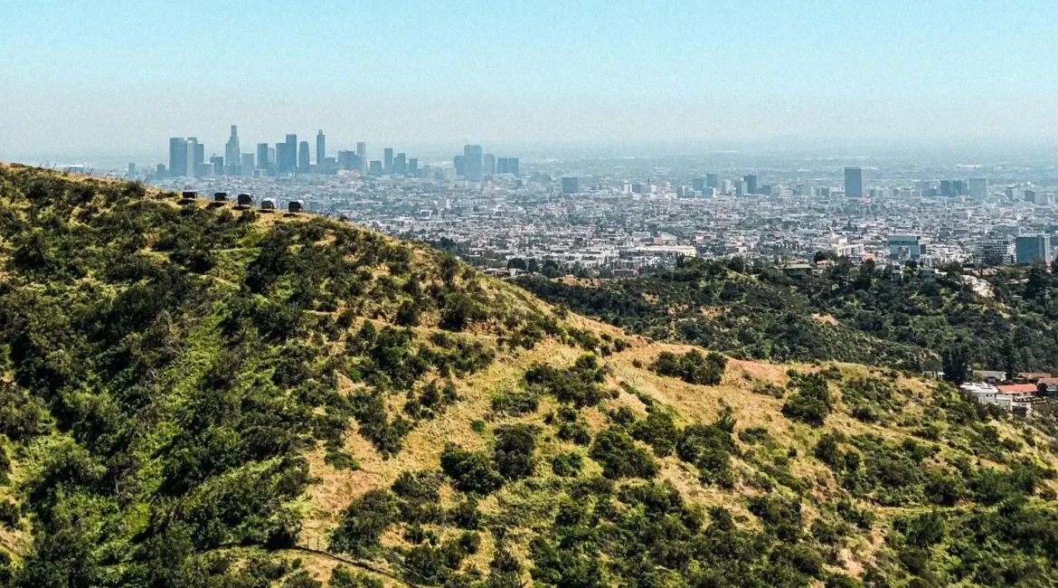 Hilltop view of the city, featuring skyline and two whales swimming in the nearby water.