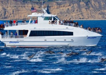 A tour boat named "Christopher" surrounded by playful dolphins, with excited passengers onboard enjoying a sunny day at sea.