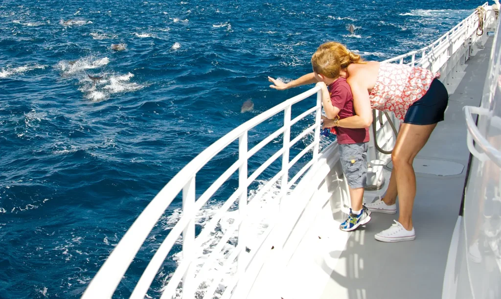A woman and child on a boat gaze at dolphins swimming nearby, enjoying a moment with See Whales.