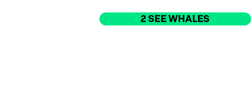 HB HarborBreezeCruises Color white